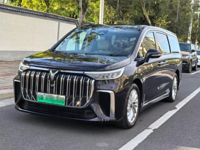 2024年1月 嵐圖 夢想家 PHEV 超長續(xù)航尊貴版圖片