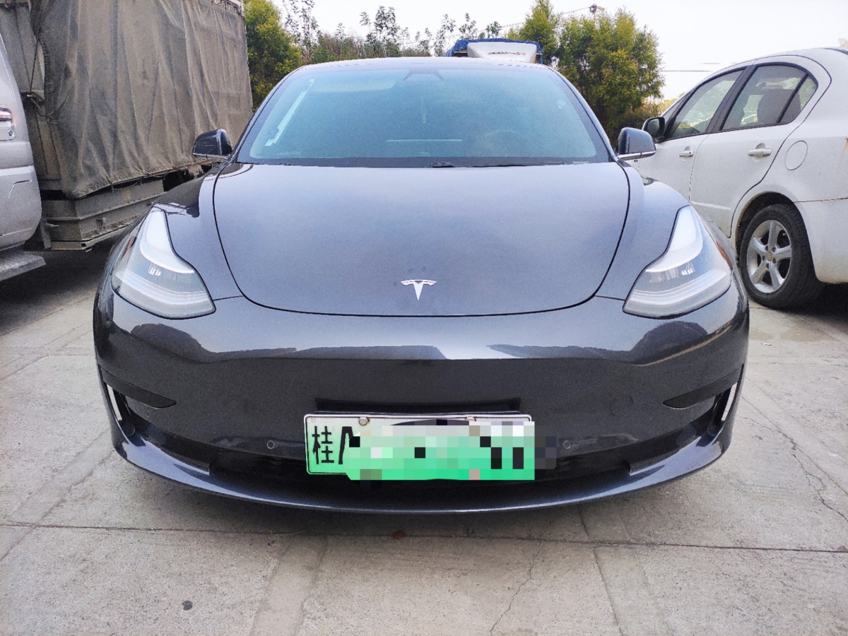 特斯拉 Model 3  2020款 改款 標(biāo)準(zhǔn)續(xù)航后驅(qū)升級版圖片