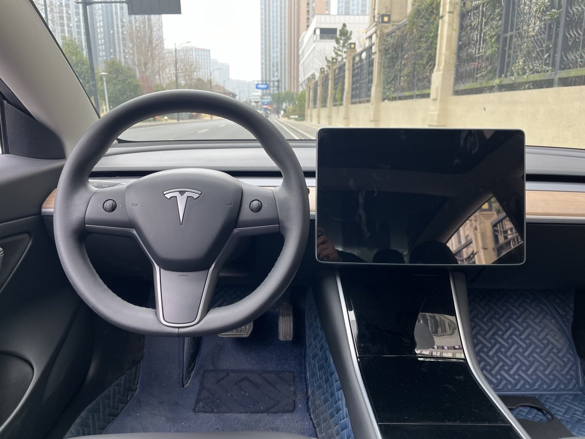 特斯拉 Model 3  2019款 標(biāo)準(zhǔn)續(xù)航后驅(qū)升級(jí)版圖片