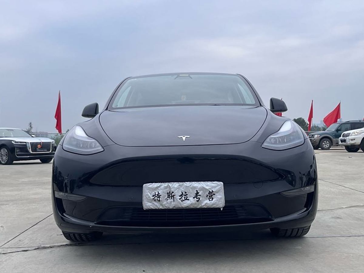 特斯拉 Model Y  2021款 改款 標準續(xù)航后驅升級版圖片