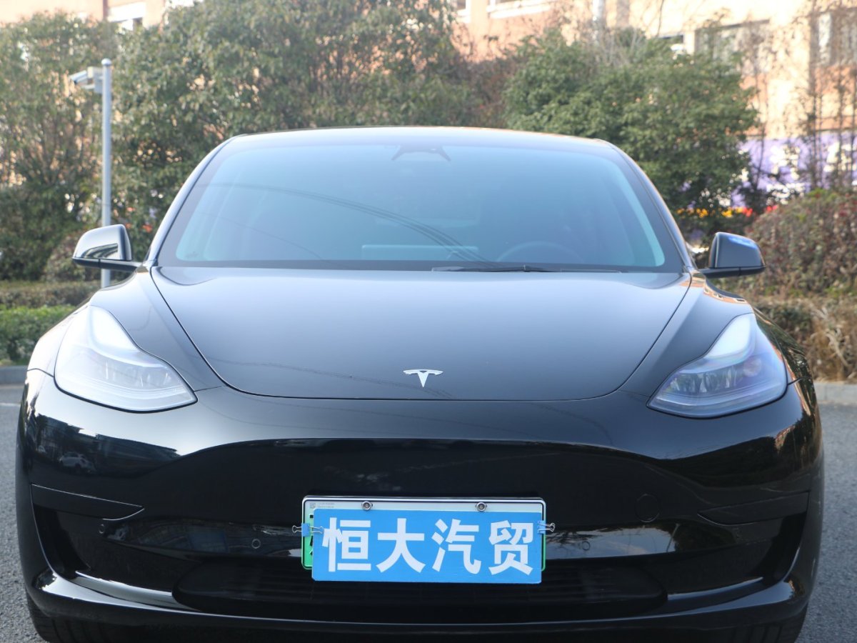 特斯拉 Model 3  2022款 后輪驅(qū)動版圖片