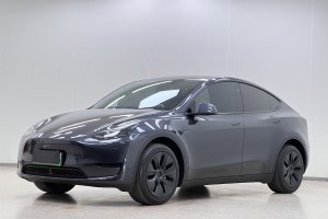 Model Y 特斯拉 改款 长续航后轮驱动版