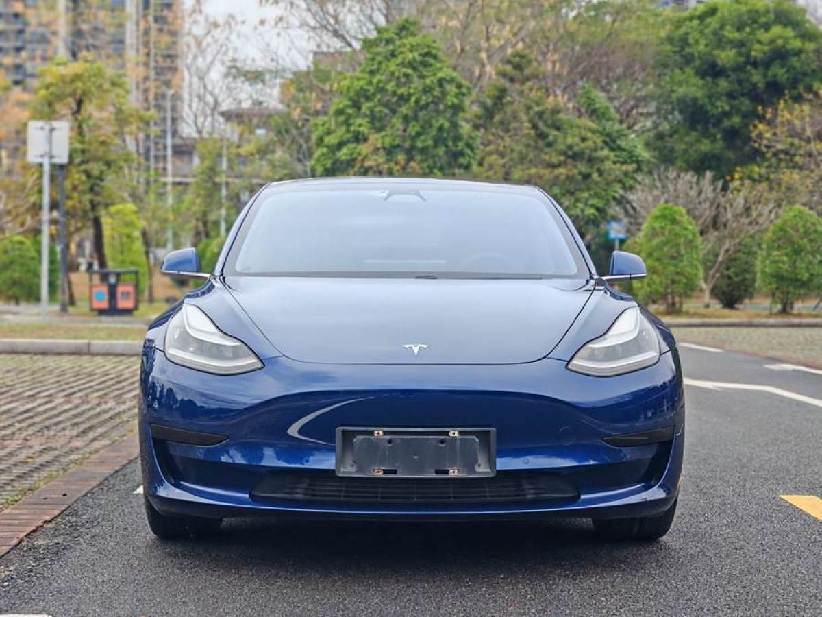 特斯拉 Model 3  2020款 改款 標(biāo)準(zhǔn)續(xù)航后驅(qū)升級版圖片