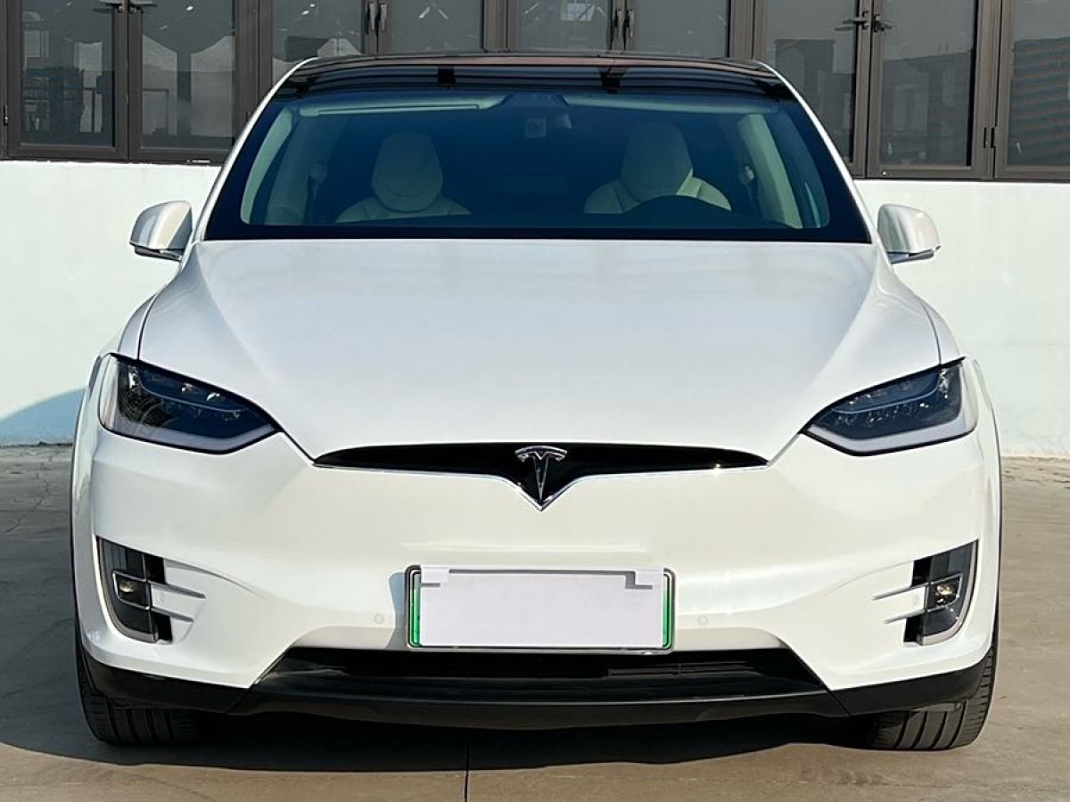 特斯拉 Model X  2016款 Model X 75D圖片