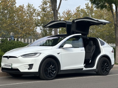 2017年4月 特斯拉 Model X Model X 60D图片