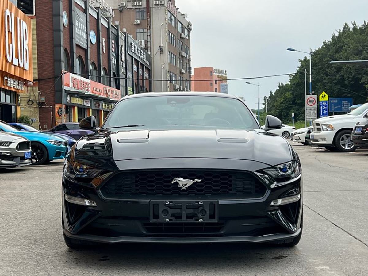 福特 Mustang  2020款 2.3L EcoBoost圖片