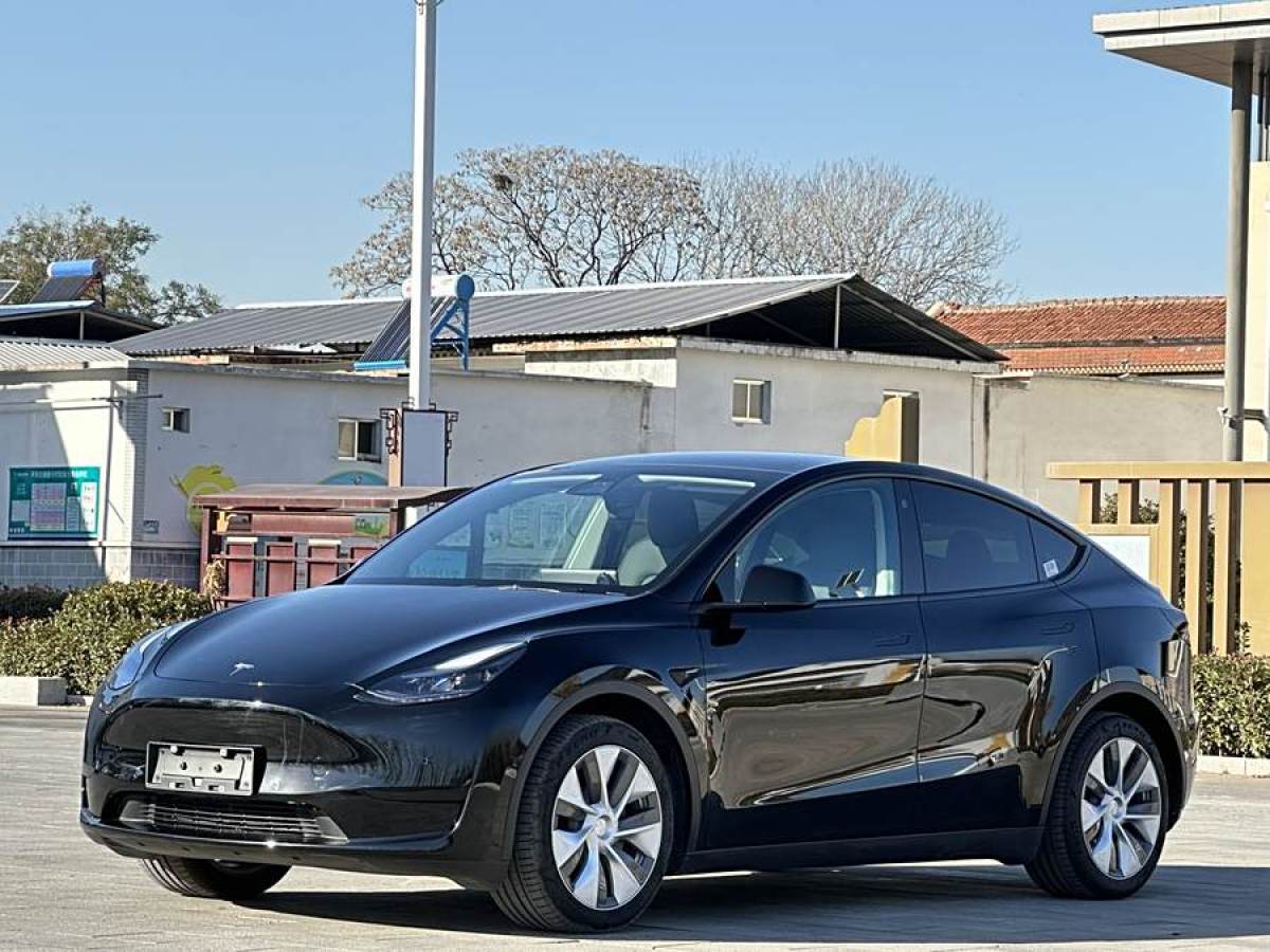 特斯拉 Model 3  2020款 改款 長續(xù)航后輪驅(qū)動版圖片