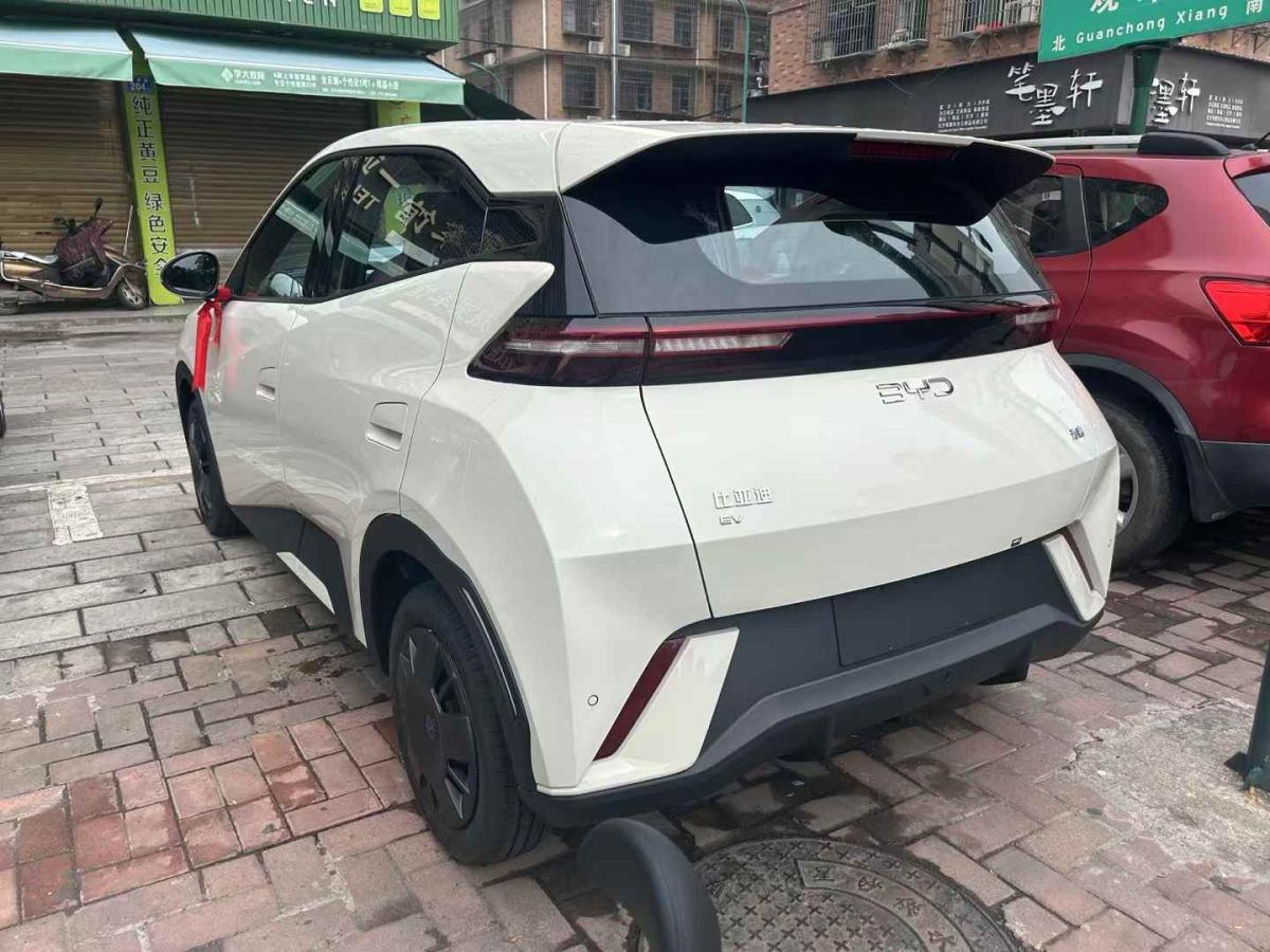 比亞迪 宋L DM-i  2024款 112km 超越型圖片