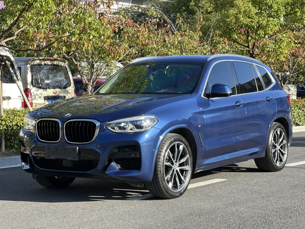 寶馬 寶馬X3  2020款 xDrive30i 領(lǐng)先型 M運(yùn)動(dòng)套裝圖片