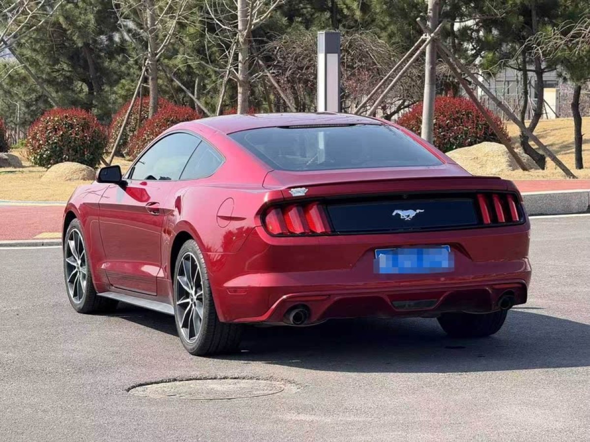 福特 Mustang  2016款 2.3T 性能版圖片