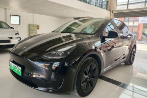 Model Y 特斯拉 改款 后輪驅(qū)動(dòng)版