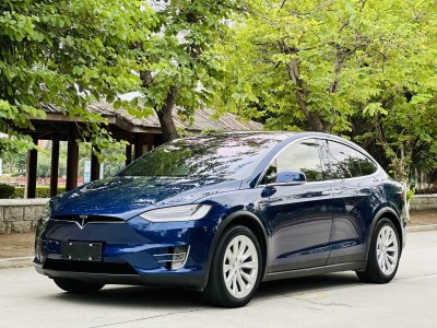 2017年9月 特斯拉 Model X Model X 75D圖片