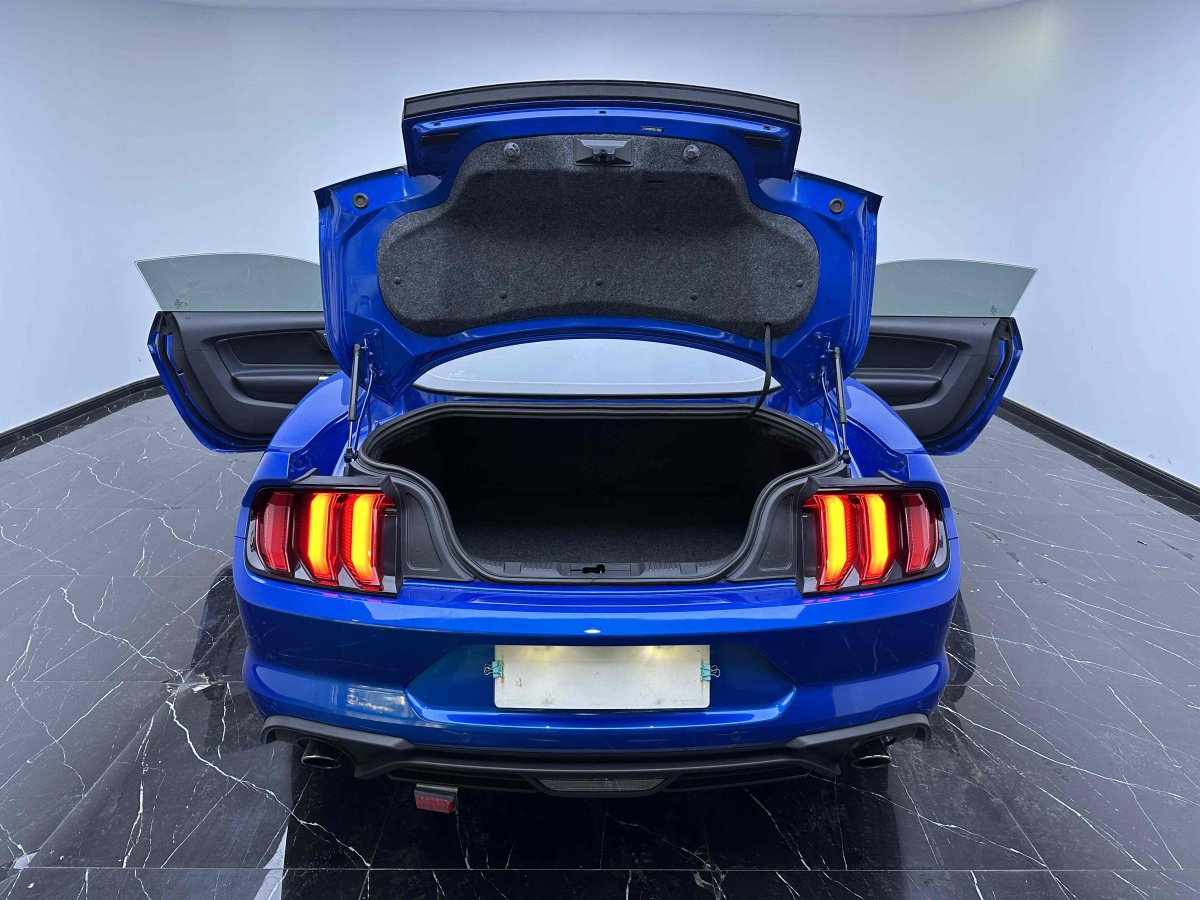 福特 Mustang  2020款 2.3L EcoBoost圖片