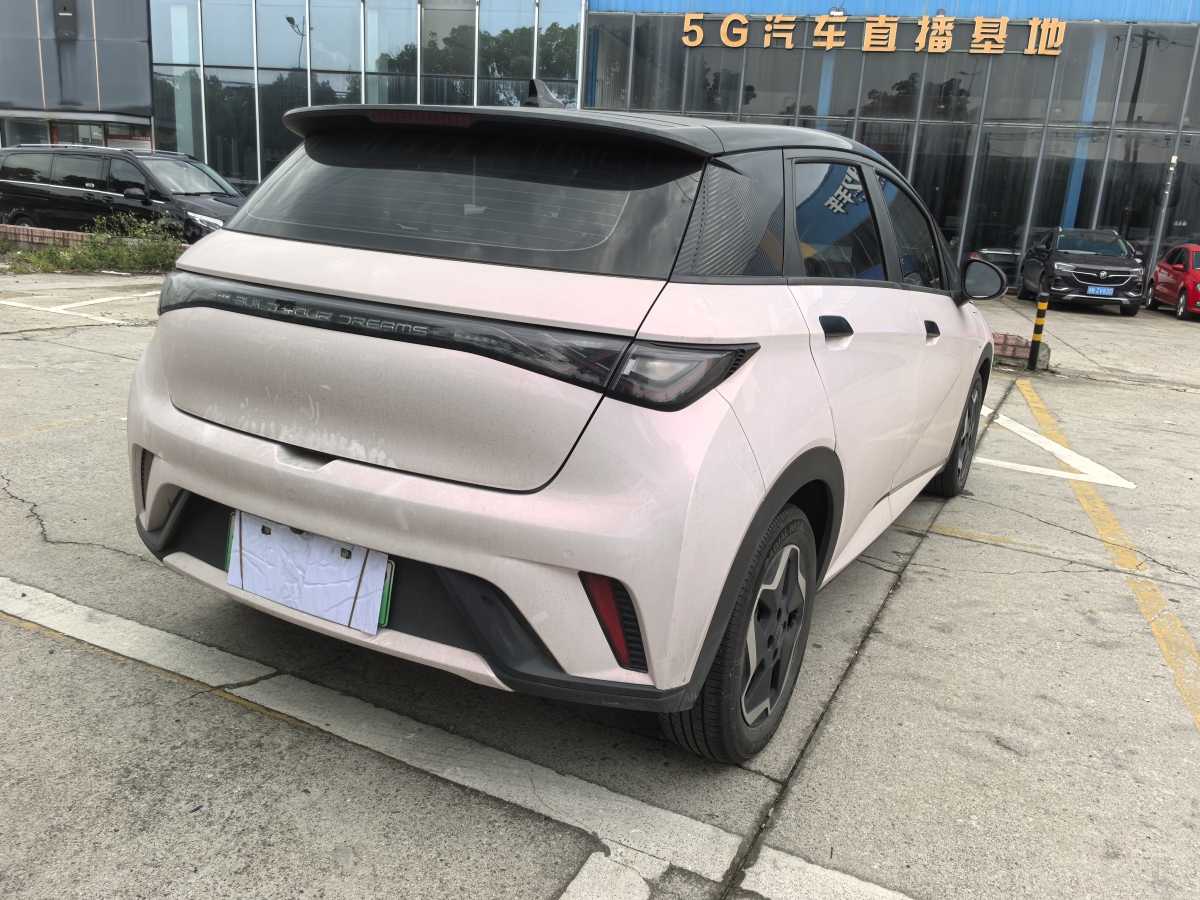 比亞迪 海豚  2021款 405km 時(shí)尚版圖片