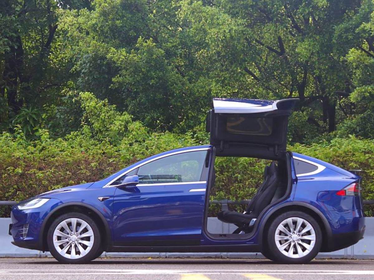 特斯拉 Model X  2019款 長續(xù)航版圖片