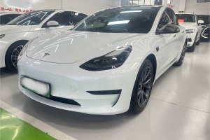 Model 3 特斯拉 標(biāo)準(zhǔn)續(xù)航后驅(qū)升級(jí)版 3D6