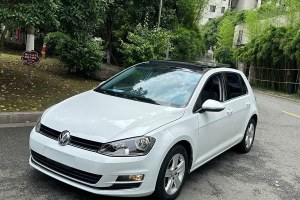 高爾夫 大眾 1.4TSI 自動(dòng)舒適型