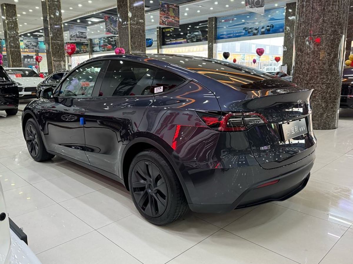 特斯拉 Model 3  2020款 改款 長(zhǎng)續(xù)航后輪驅(qū)動(dòng)版圖片