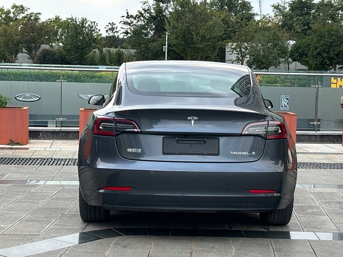 特斯拉 Model 3  2020款 改款 標(biāo)準(zhǔn)續(xù)航后驅(qū)升級版圖片