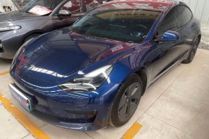 Model 3 特斯拉 改款 標(biāo)準(zhǔn)續(xù)航后驅(qū)升級(jí)版