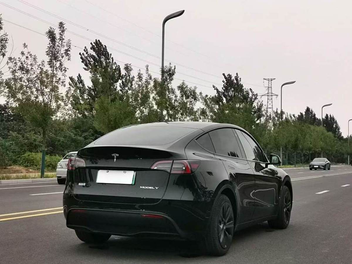 特斯拉 Model Y  2023款 煥新版 后輪驅(qū)動圖片