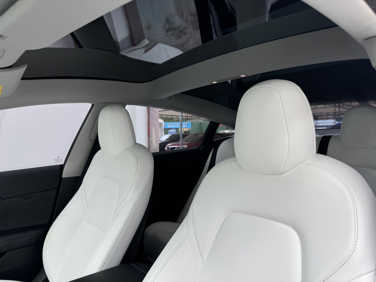 特斯拉 Model 3  2019款 標(biāo)準(zhǔn)續(xù)航后驅(qū)升級(jí)版圖片