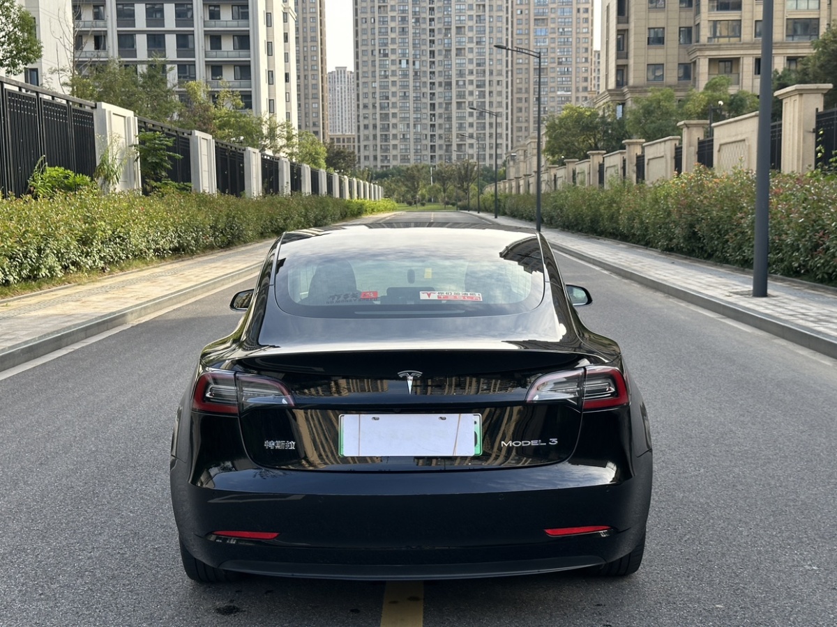 特斯拉 Model Y  2020款 標(biāo)準(zhǔn)續(xù)航后驅(qū)升級(jí)版圖片