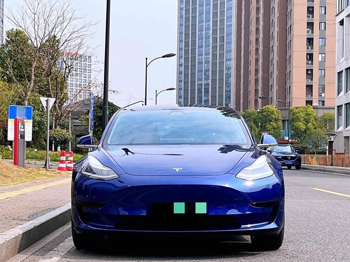 特斯拉 Model 3  2019款 標(biāo)準(zhǔn)續(xù)航后驅(qū)升級版圖片