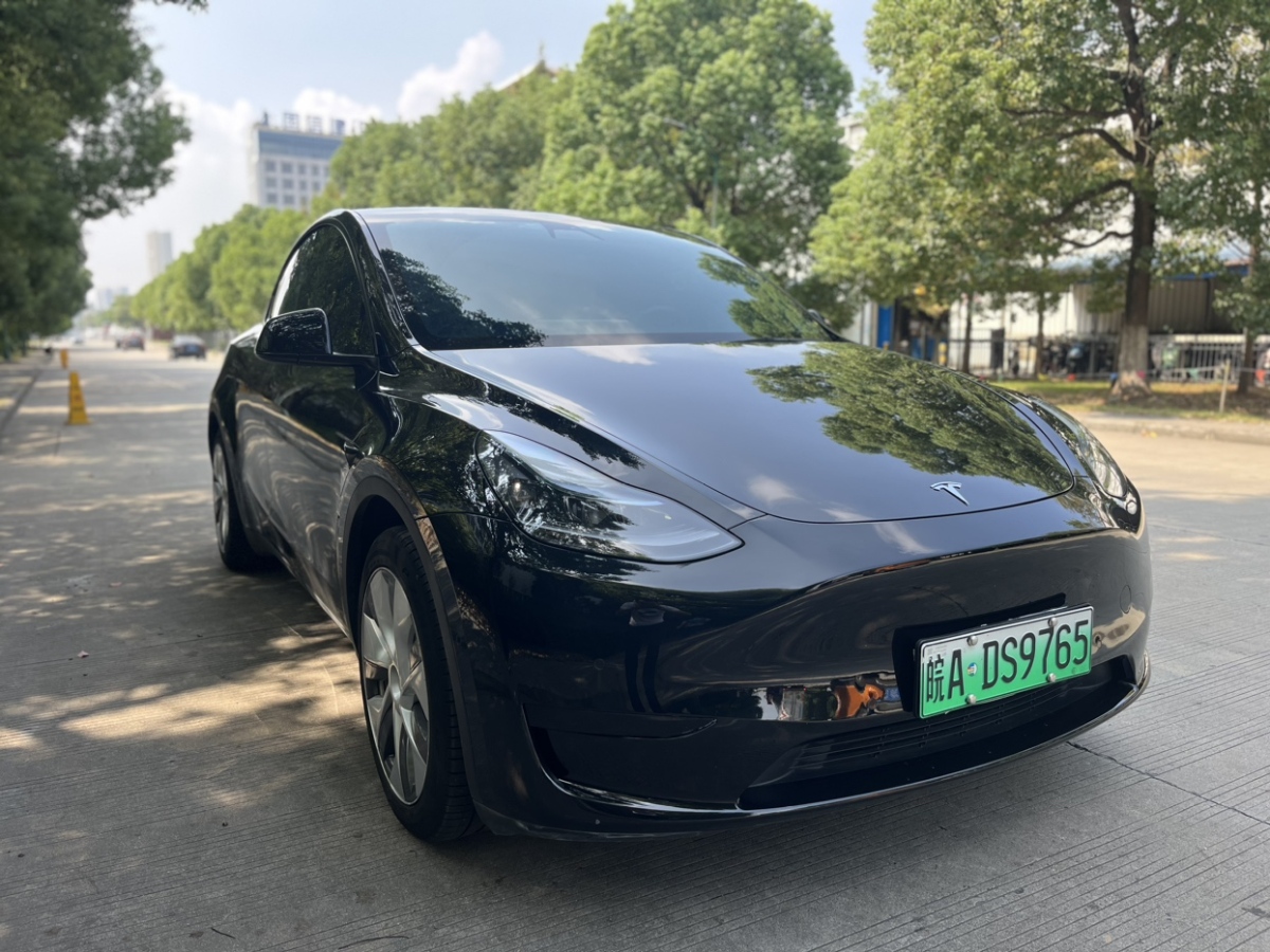 2022年10月特斯拉 Model 3  2022款 后驅(qū)版