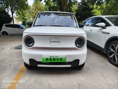 2023年12月 吉利 熊猫mini 200km 灵动熊图片