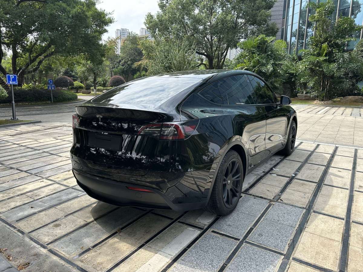 特斯拉 Model Y  2021款 長續(xù)航全輪驅動版圖片