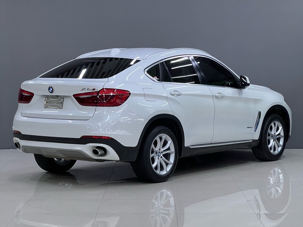 寶馬 寶馬X6  2015款 xDrive35i 豪華型圖片