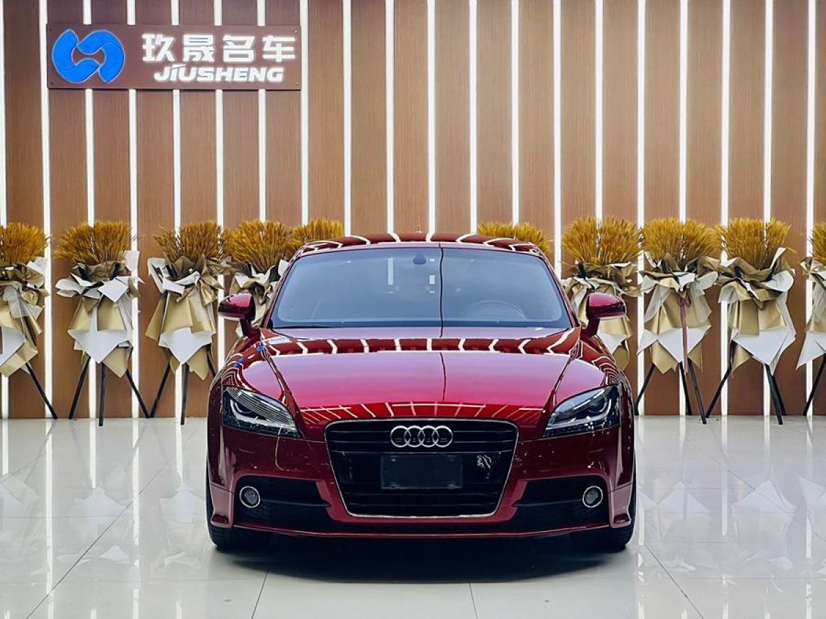 奧迪 奧迪TT  2013款 TT Coupe 45 TFSI 彩色夢(mèng)幻版圖片