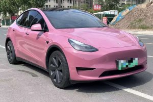 Model Y 特斯拉 后輪驅(qū)動版