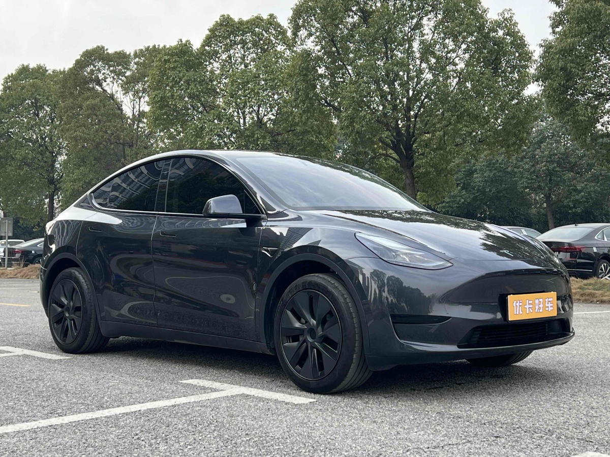 特斯拉 Model 3  2020款 改款 長續(xù)航后輪驅(qū)動版圖片