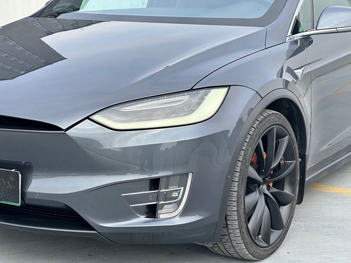 特斯拉 Model X  2019款 長續(xù)航版圖片