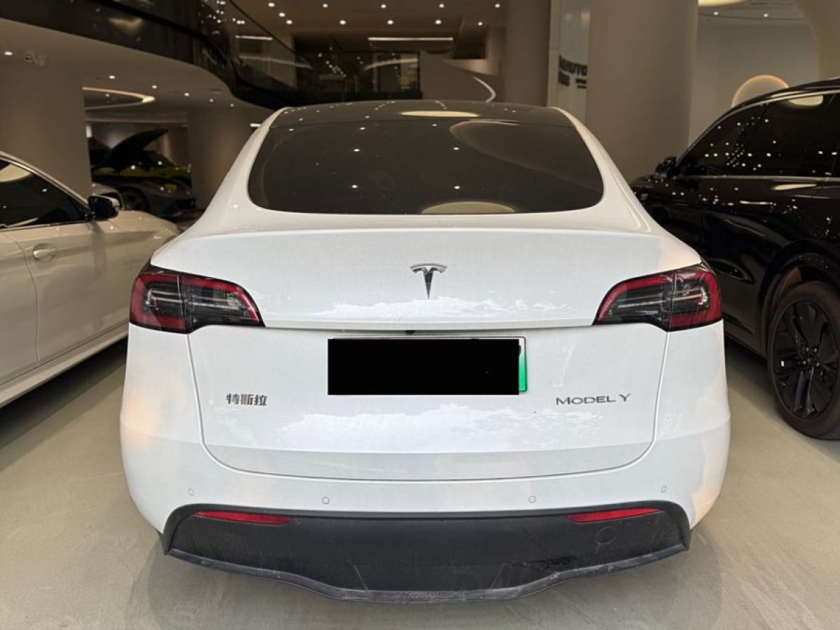 2023年3月特斯拉 Model 3  2020款 改款 長續(xù)航后輪驅動版