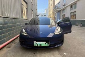 Model X 特斯拉 Performance 高性能版