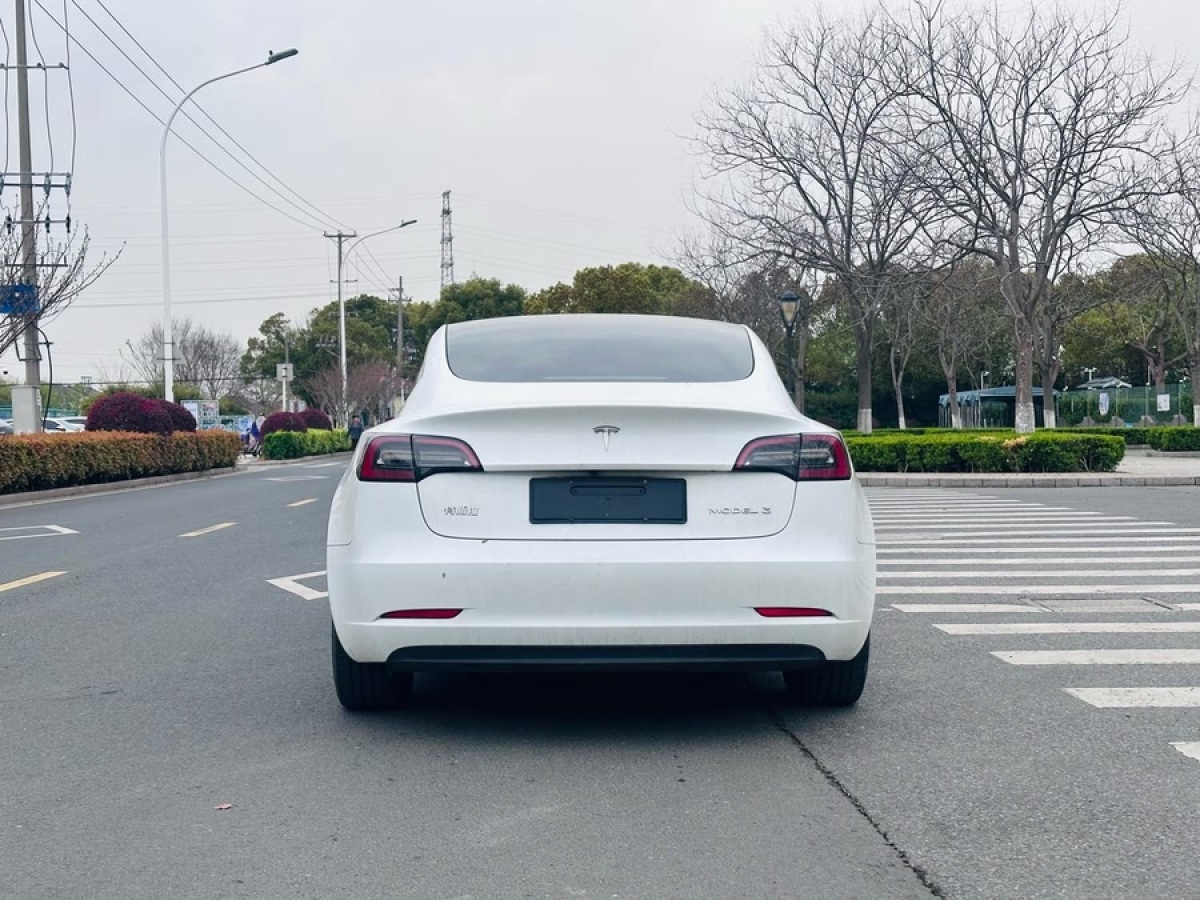 特斯拉 Model 3  2022款 后輪驅(qū)動(dòng)版圖片