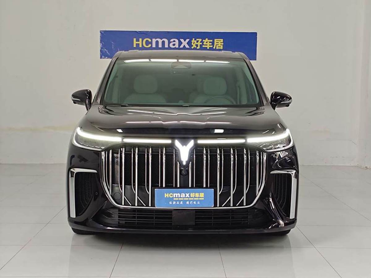 嵐圖 夢想家  2024款 PHEV 超長續(xù)航尊貴版圖片