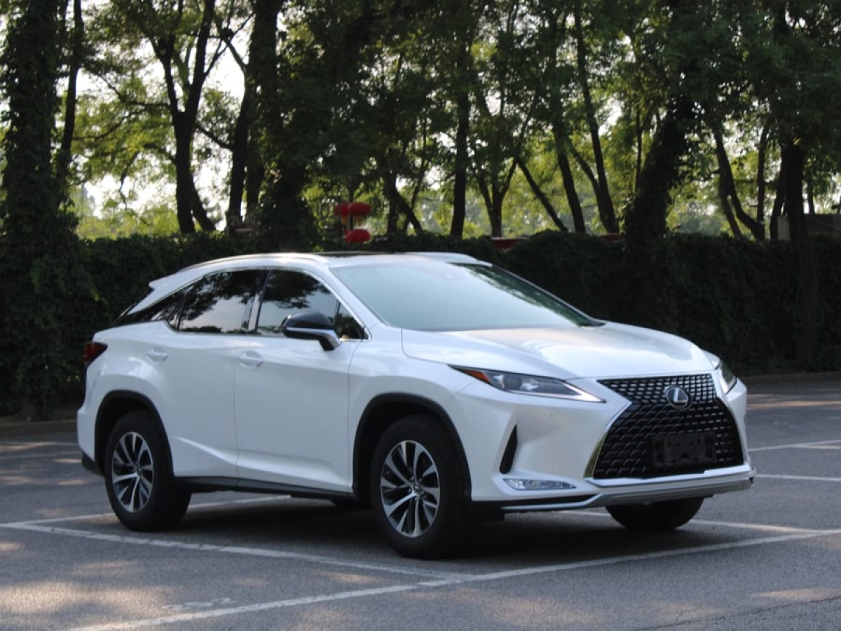 雷克薩斯 RX  2020款 300 兩驅(qū)舒適版 國VI圖片