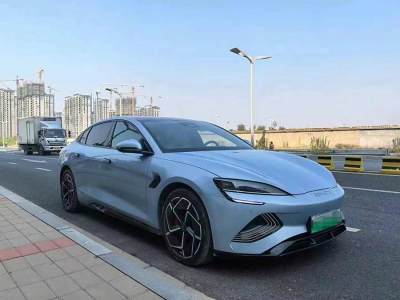 2022年10月 比亞迪 海豹 700km 長(zhǎng)續(xù)航后驅(qū)版圖片