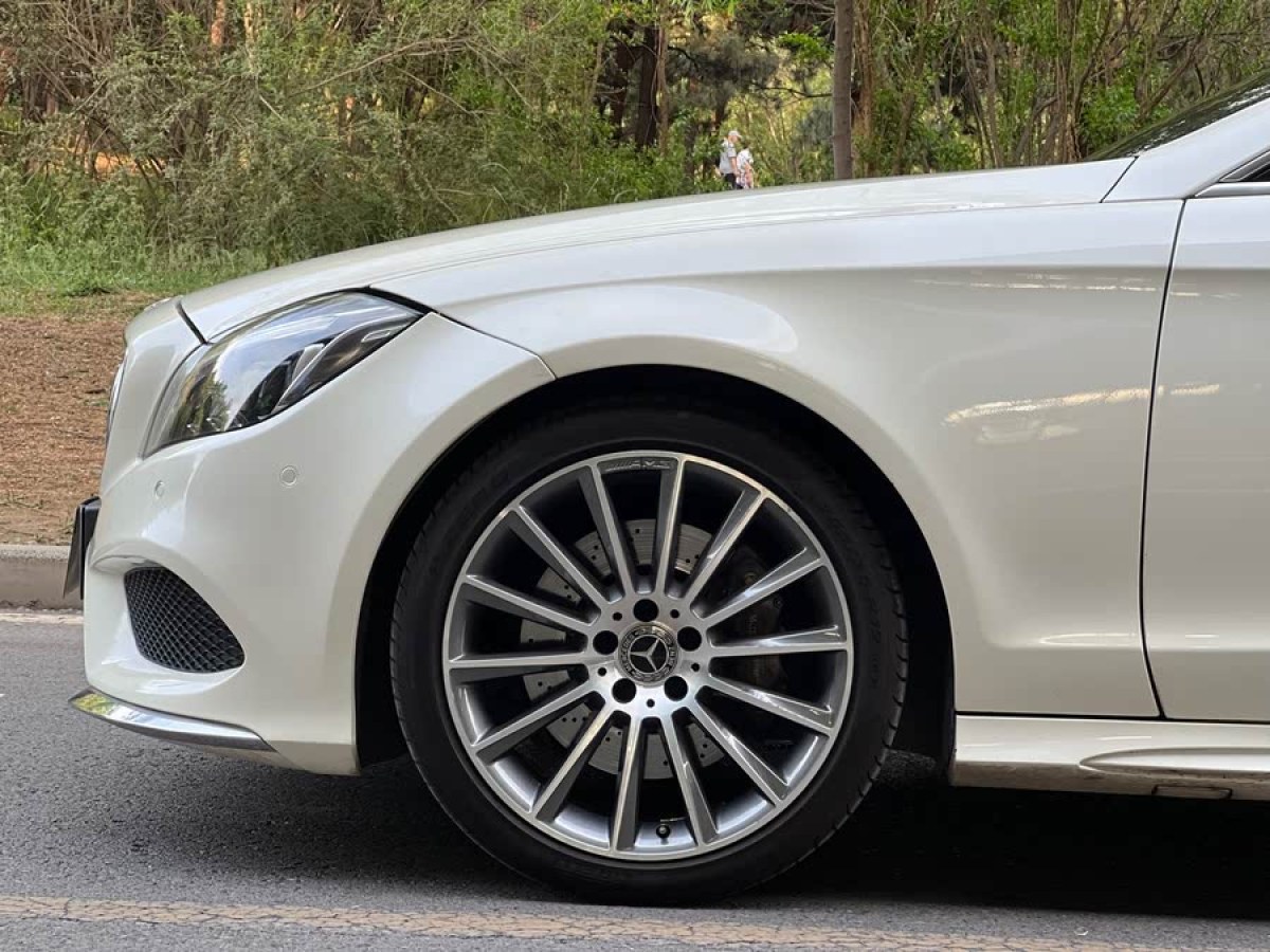 奔馳 奔馳CLS級  2015款 CLS 320圖片