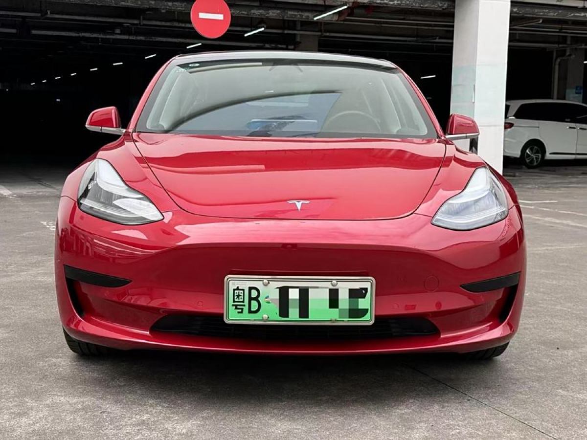 特斯拉 Model 3  2019款 標(biāo)準(zhǔn)續(xù)航后驅(qū)升級(jí)版圖片