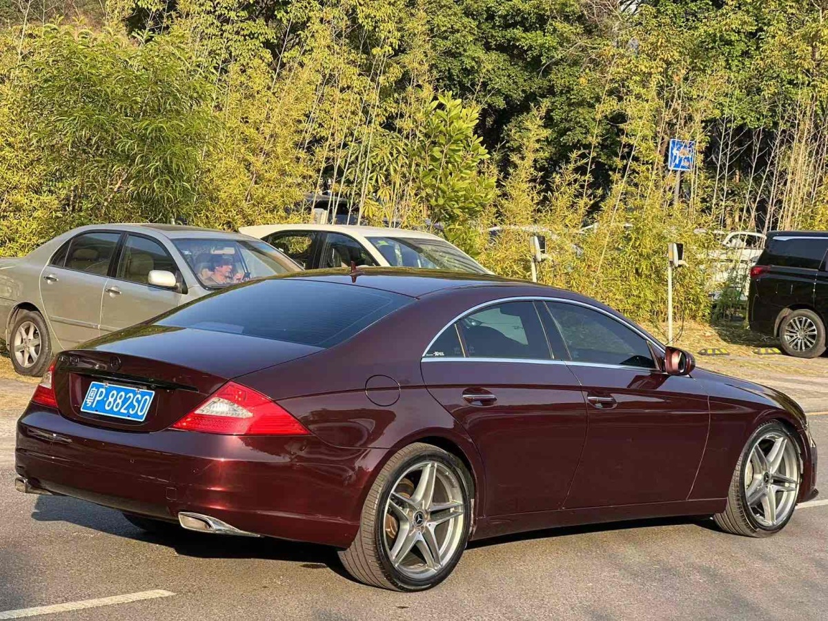 奔馳 奔馳CLS級  2009款 CLS 300圖片