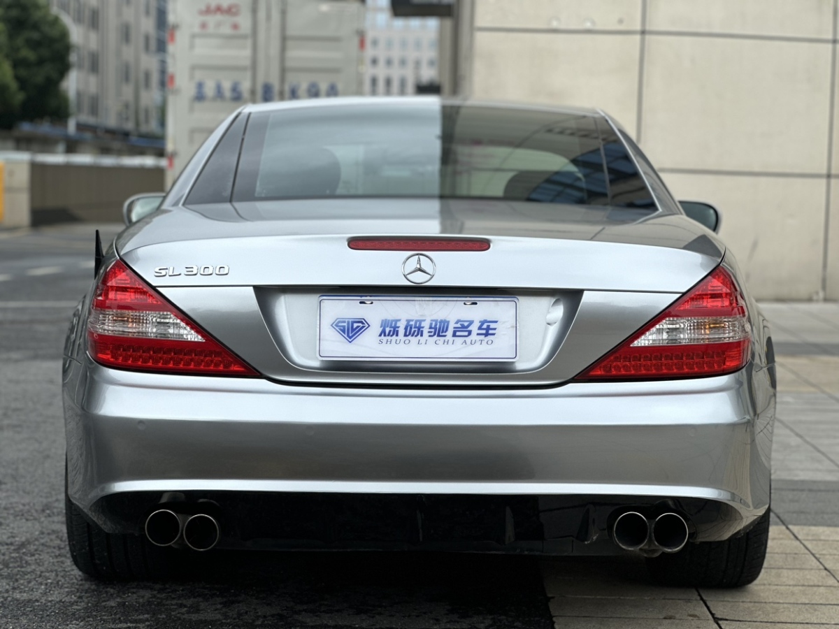 奔驰 奔驰SL级  2010款 SL 300图片