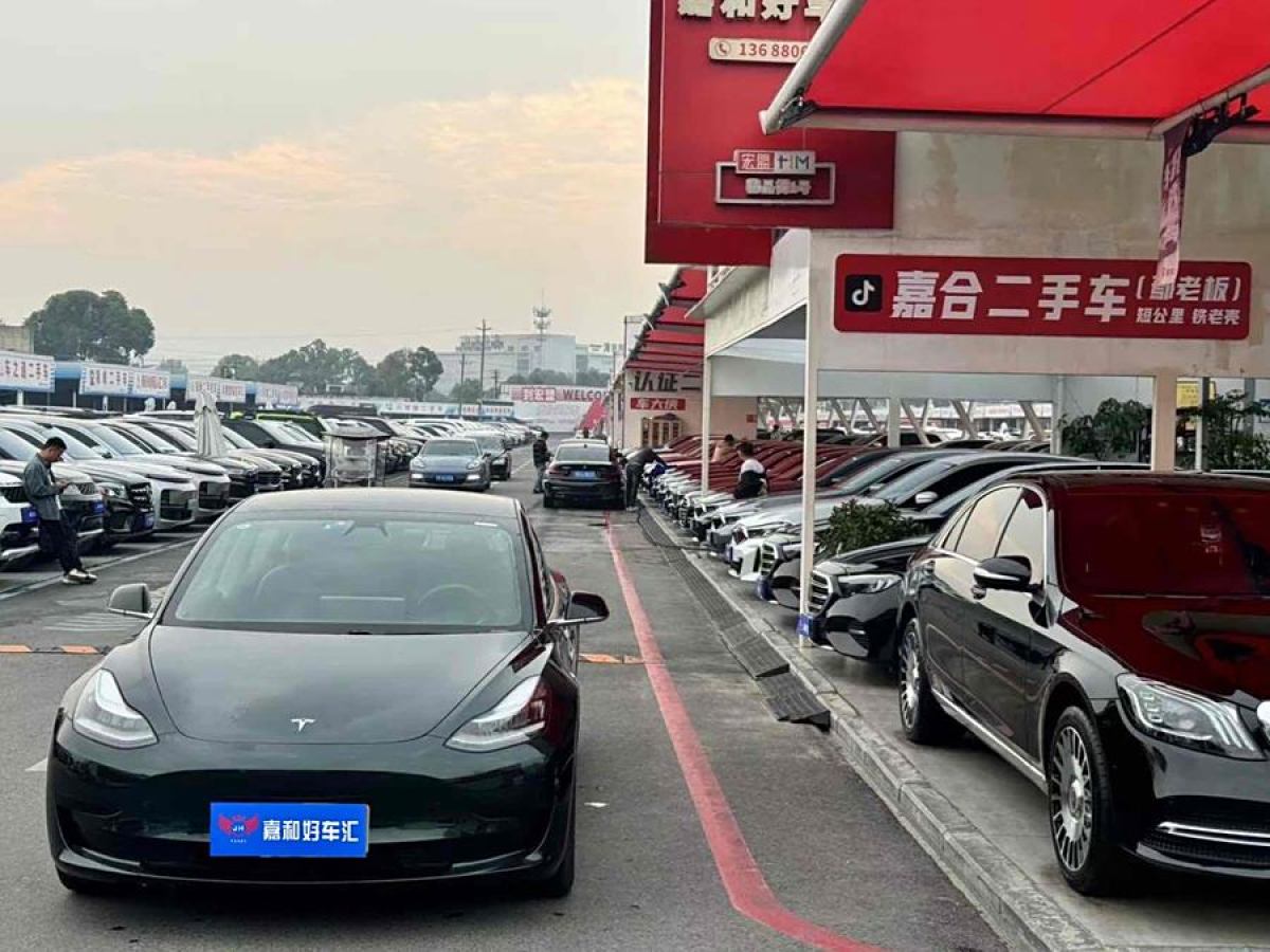 特斯拉 Model Y  2020款 改款 標(biāo)準(zhǔn)續(xù)航后驅(qū)升級版圖片