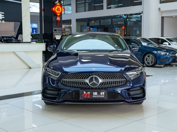 奔驰 奔驰CLS级  2020款 CLS 300 动感型