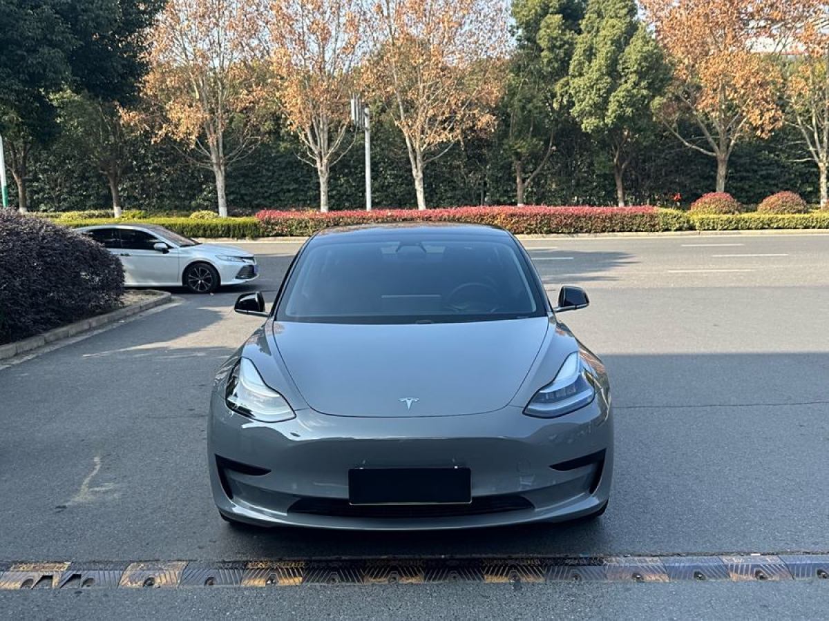 特斯拉 Model 3  2020款 改款 標(biāo)準(zhǔn)續(xù)航后驅(qū)升級(jí)版圖片