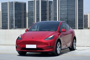 Model Y 特斯拉 改款 長續(xù)航全輪驅(qū)動版